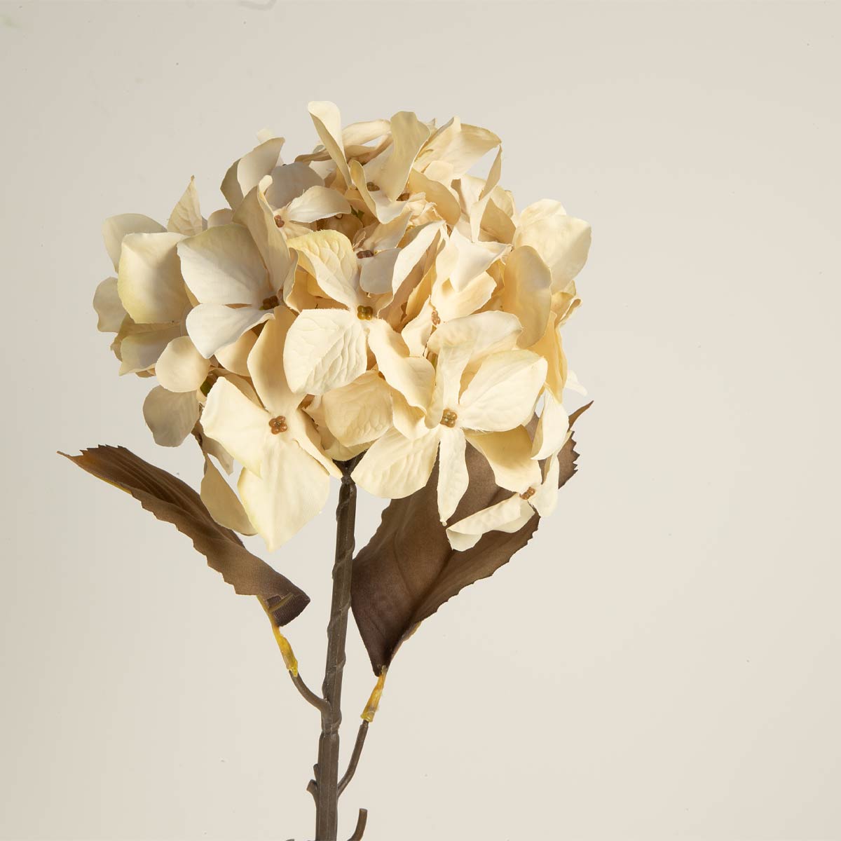 Hydrangea Stem, Cream
