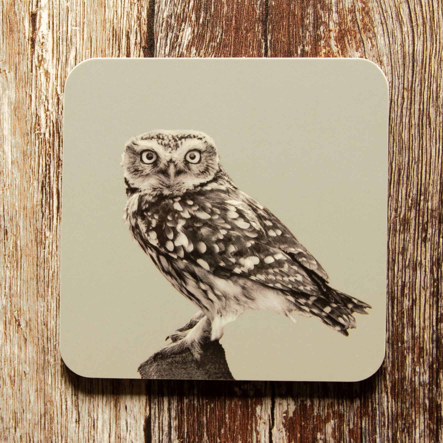 Little Owl Standing Coaster - Sand