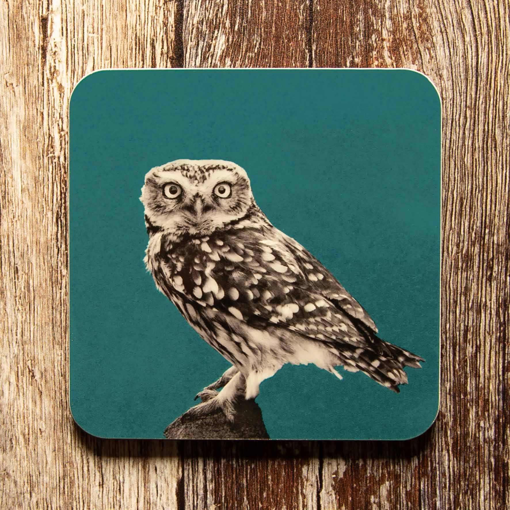 Little Owl Standing Coaster - Teal