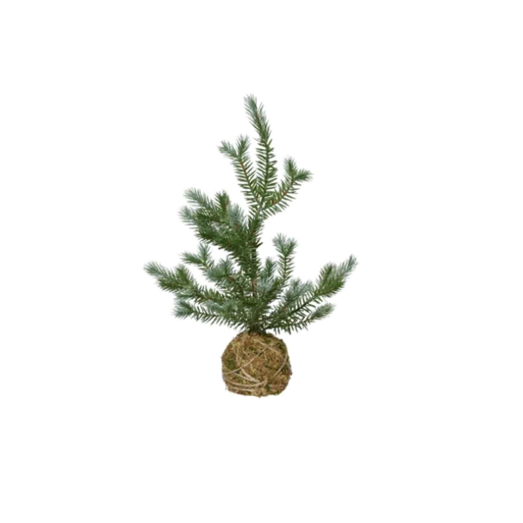 Moss Ball Mini Tree - Small