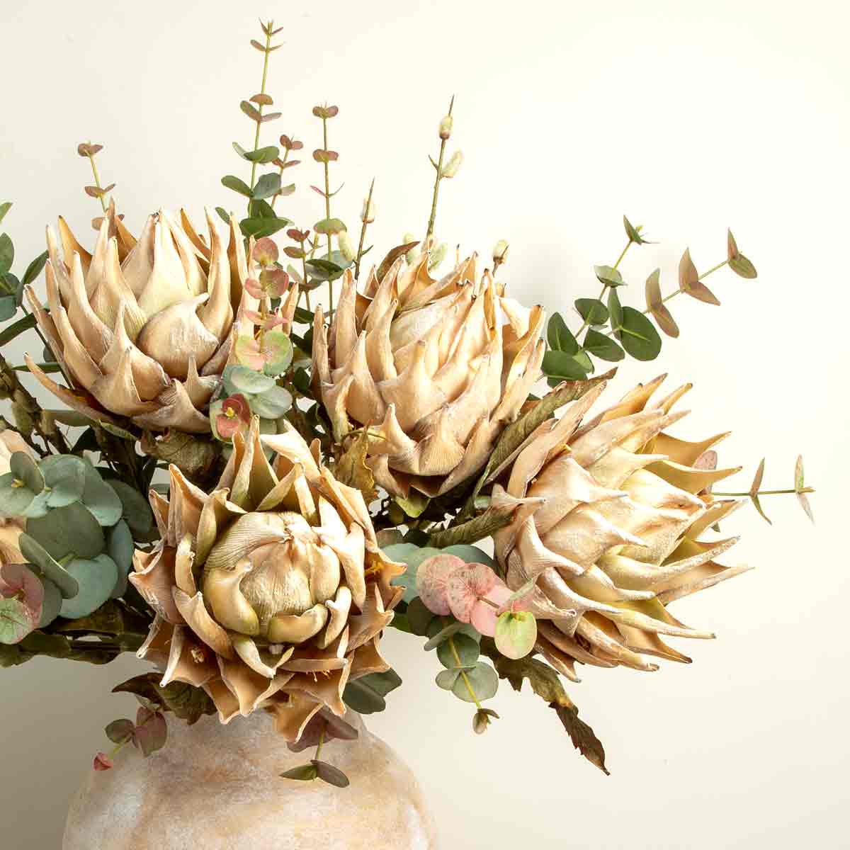 Protea Stem in Cream