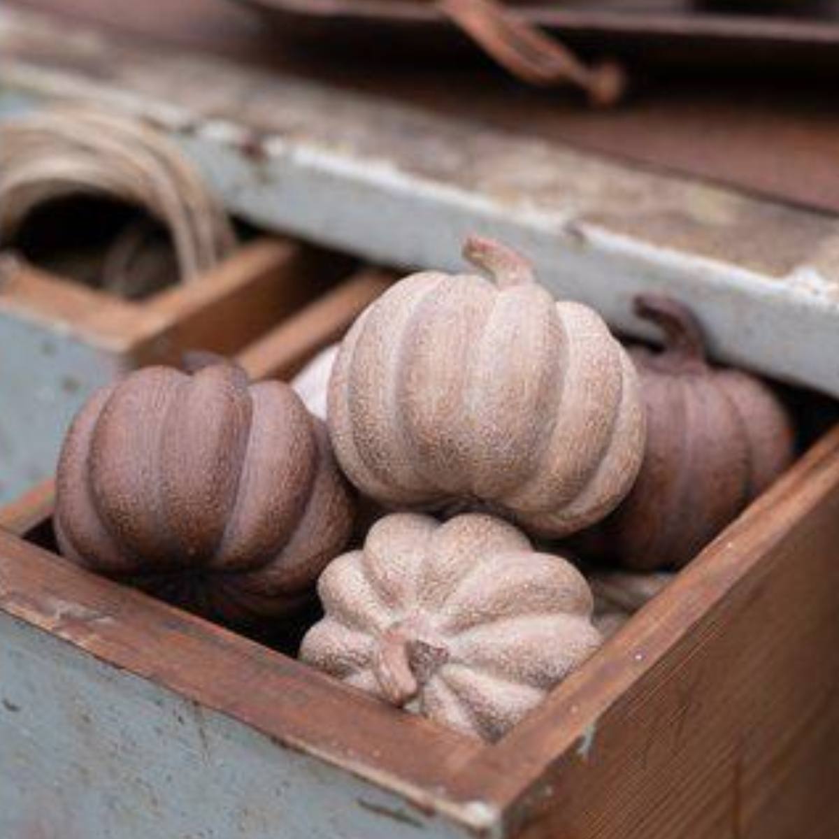 Small pumpkins in a wooden box with a rustic background