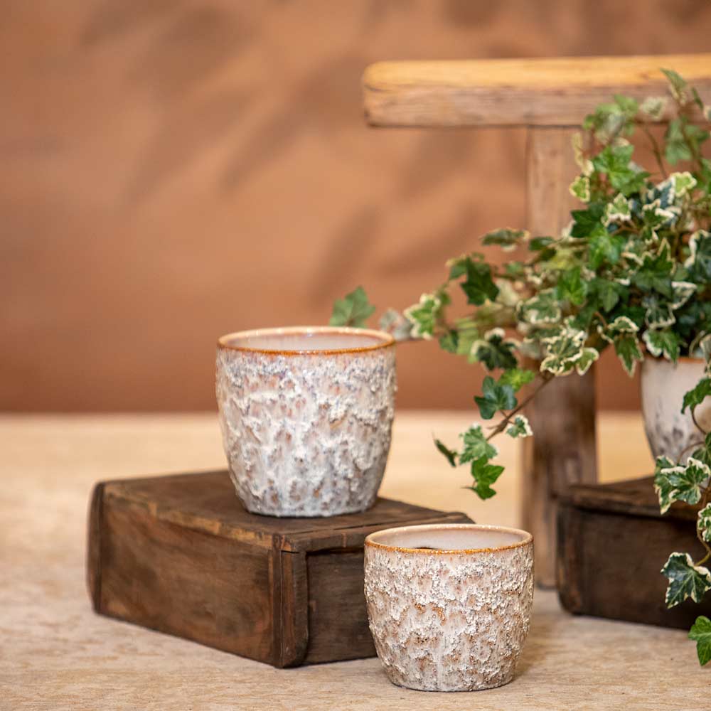 Rebecca Cream Ceramic Pot