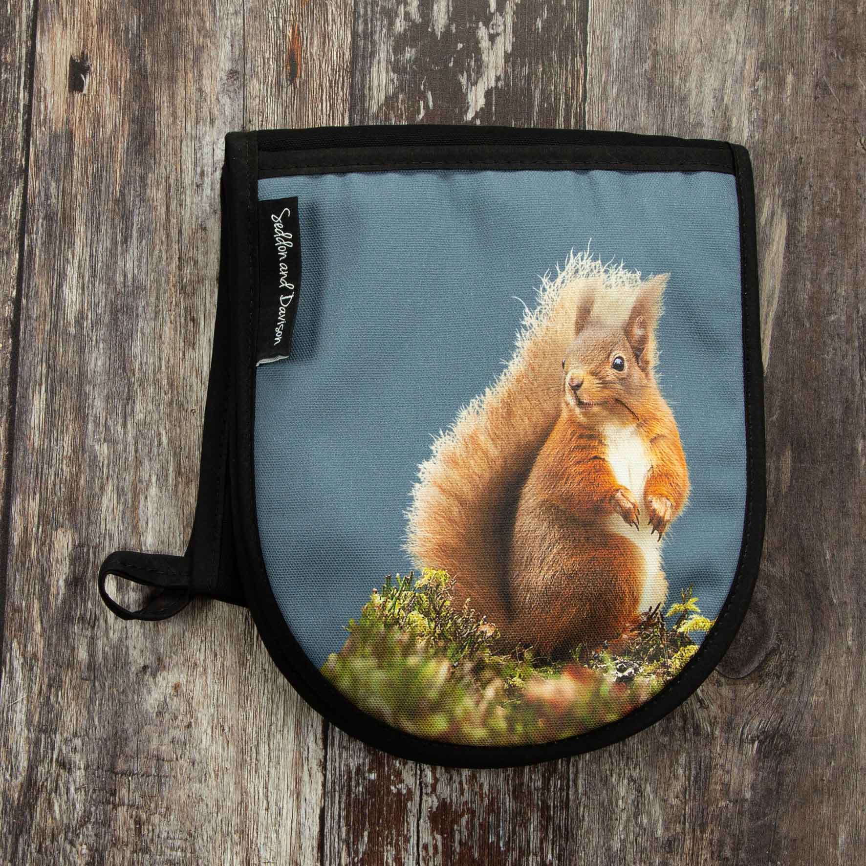 Red Squirrel Oven Gloves - Steel Blue