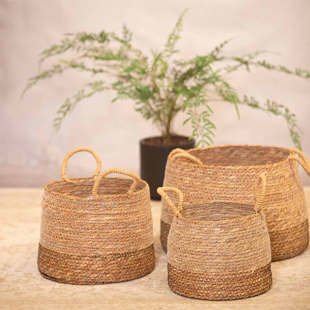 Three woven baskets on a Rug with a plant in the background