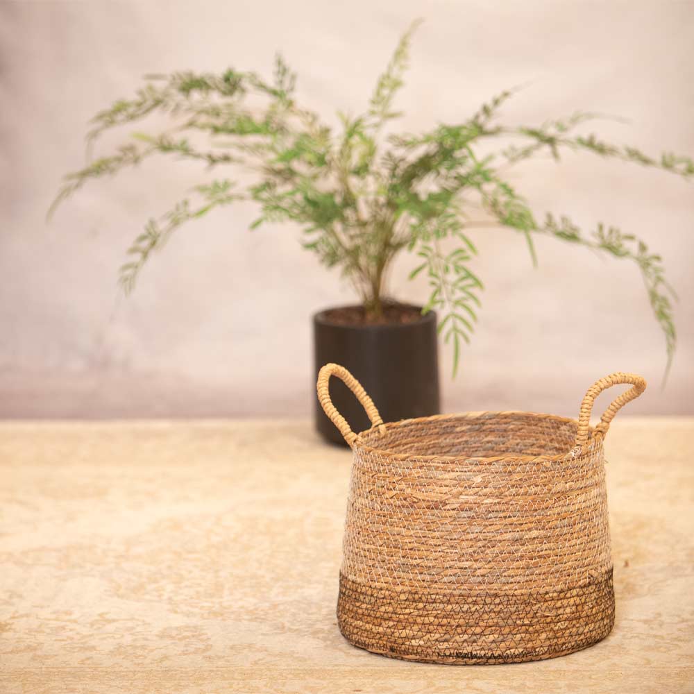 Woven basket with handles on a patterned rug with a plant in the background.