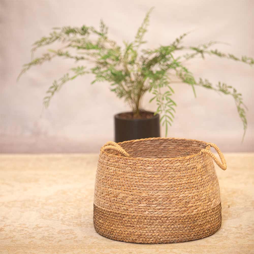 Woven basket on a rug  with a plant in the background