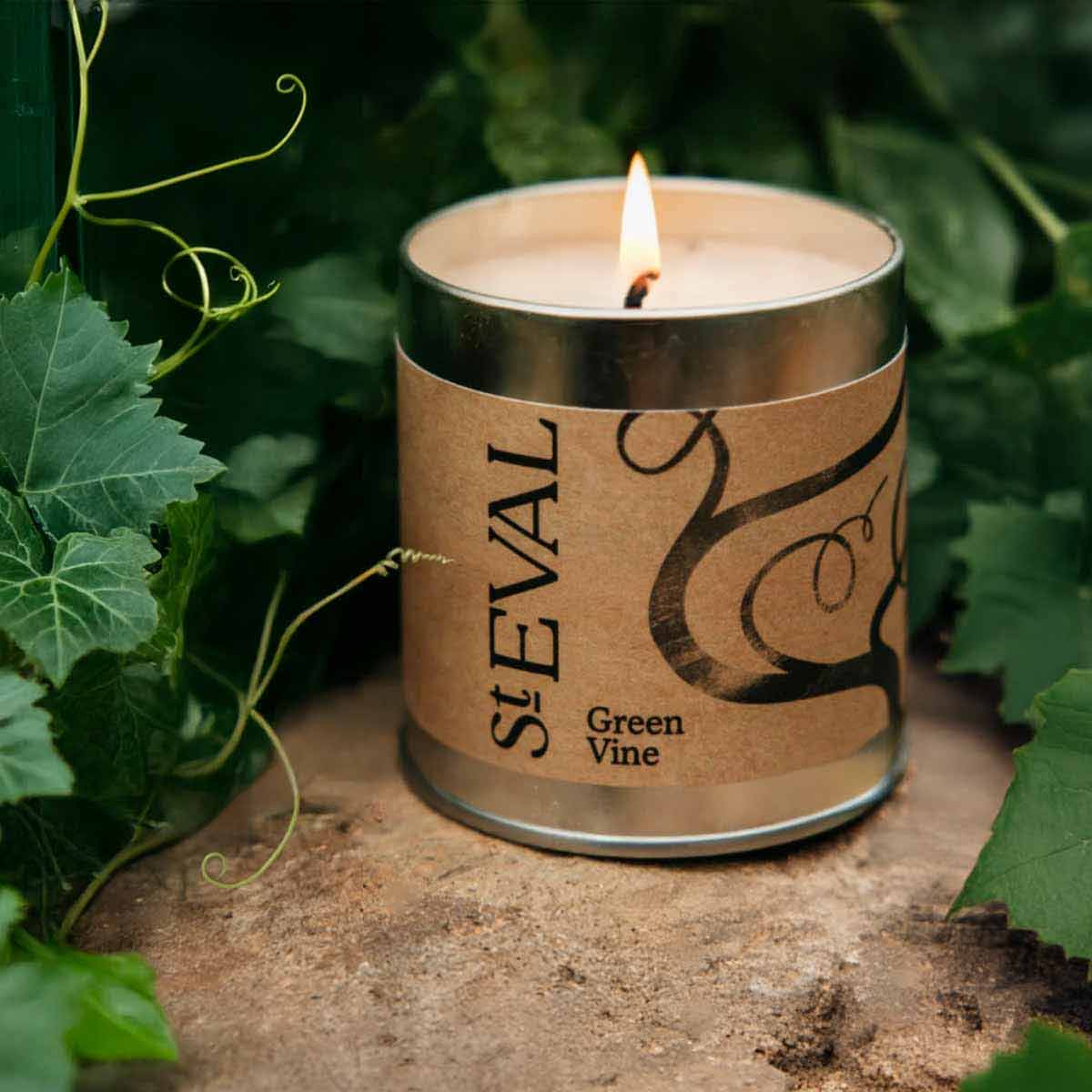 St Eval Scented  Tin Candle - Green Vine