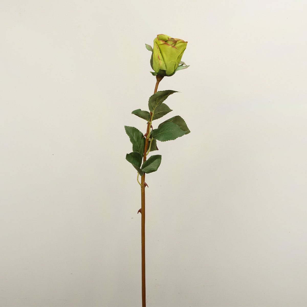 Single Faux Green Rose Stem with leaves on a light grey background