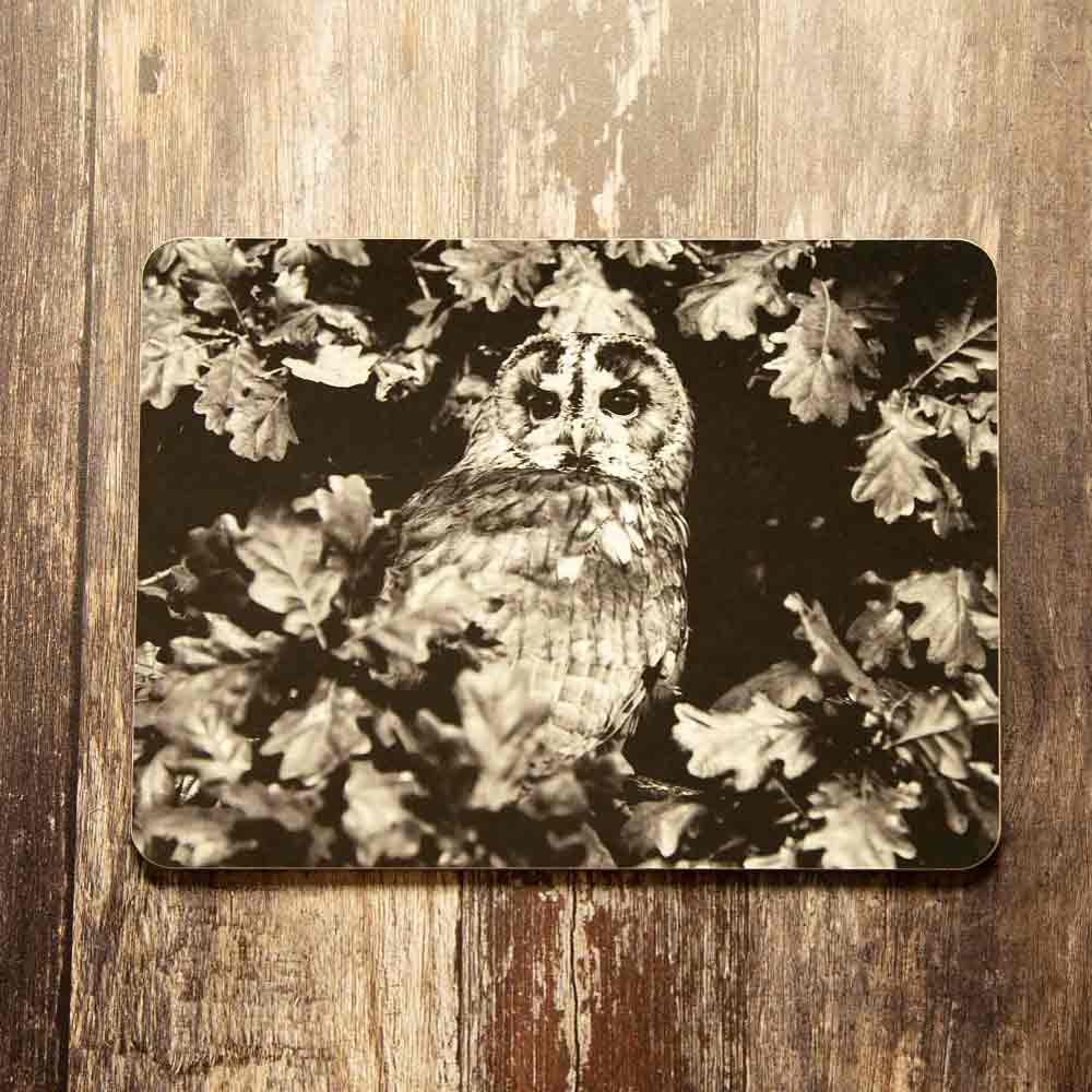 Tawny Owl Placemat - Black and White