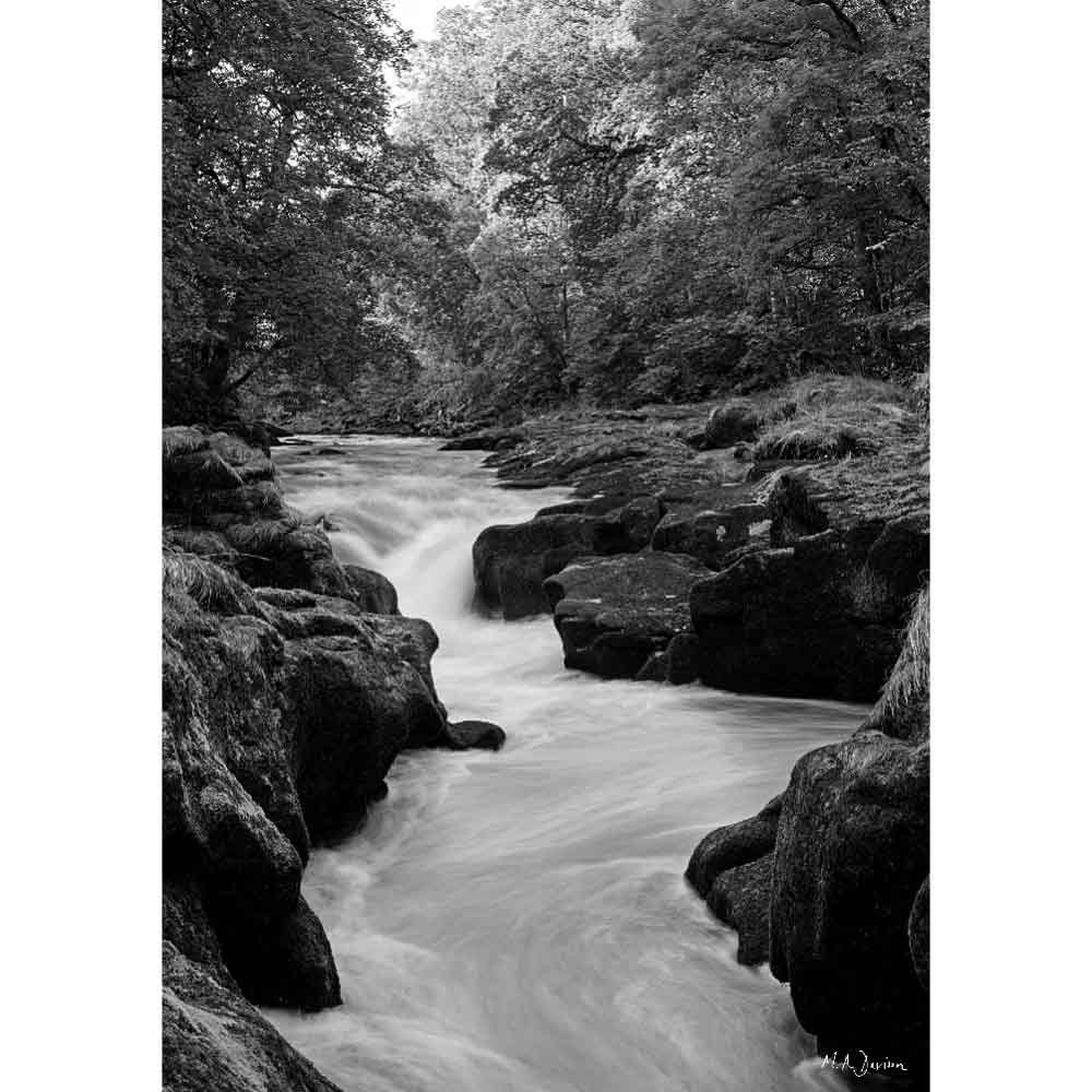 The Strid, Bolton Abbey, Yorkshire Dales - Landscape Print