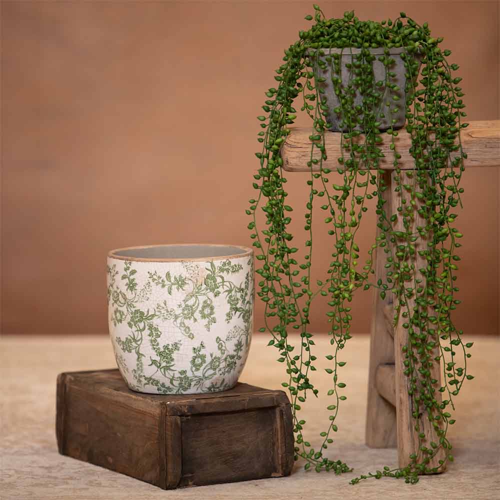 Decorative plant in a pot on a wooden stand with a brown background
