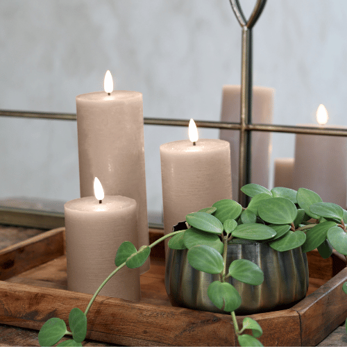Rustic Wooden Trays