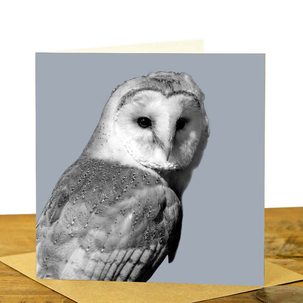 Barn Owl Greeting Card - Pale grey