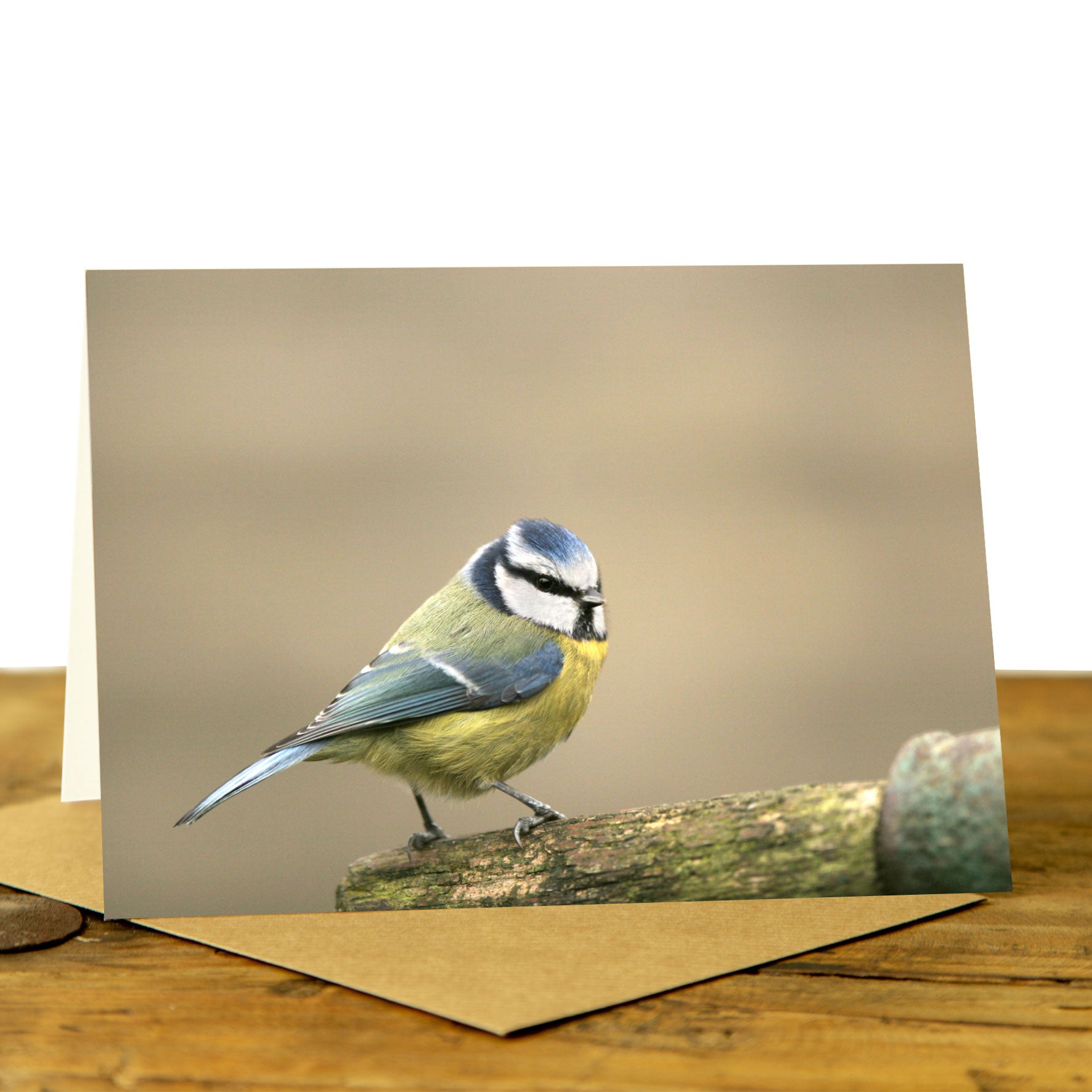 Blue Tit Greeting Card