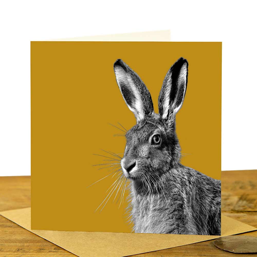 Hare Greetng Card
