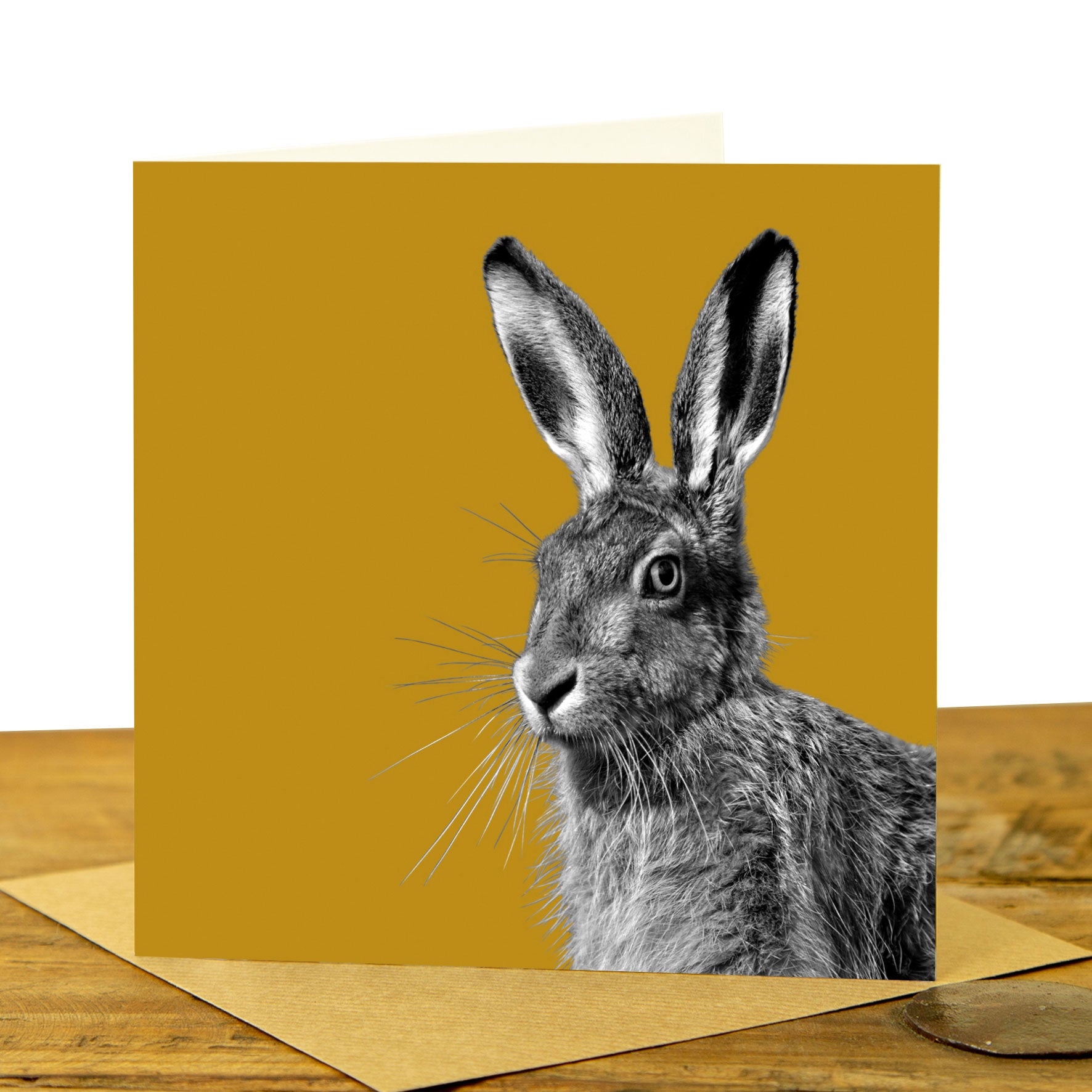 HARE GREETING CARD