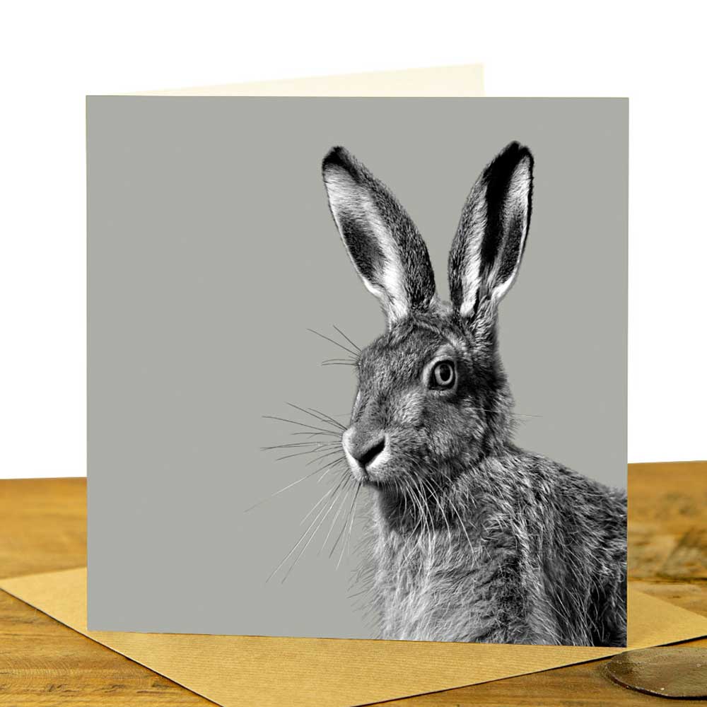 HARE GREETING CARD - Sage Grey