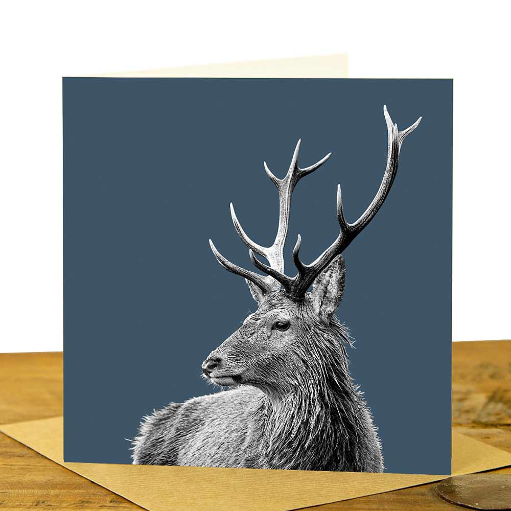Highland Stag Greeting Card - Indigo