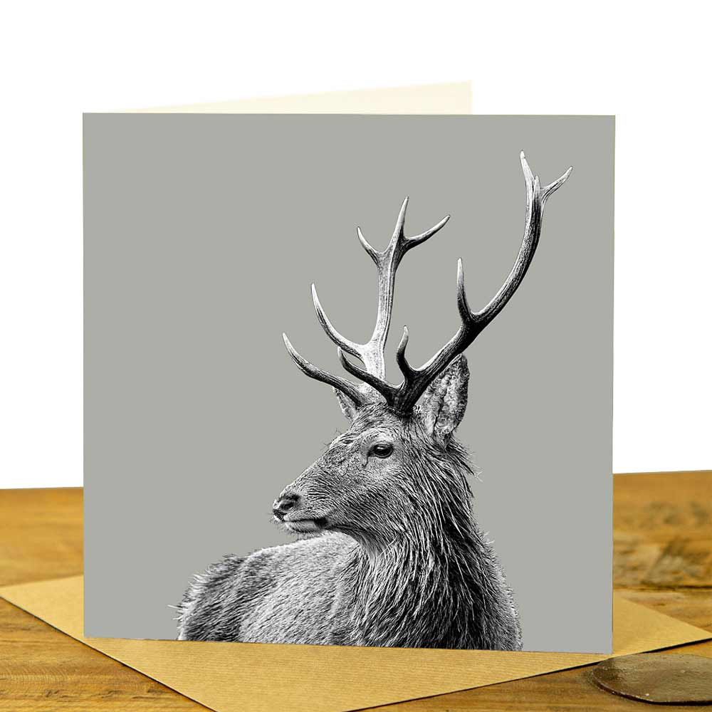 Highland Stag Greeting Card - Sage Grey