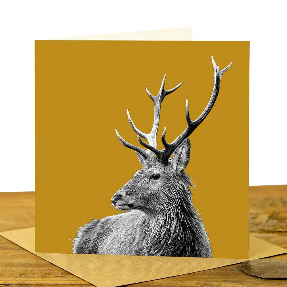 Highland Stag Greeting Card - Mustard