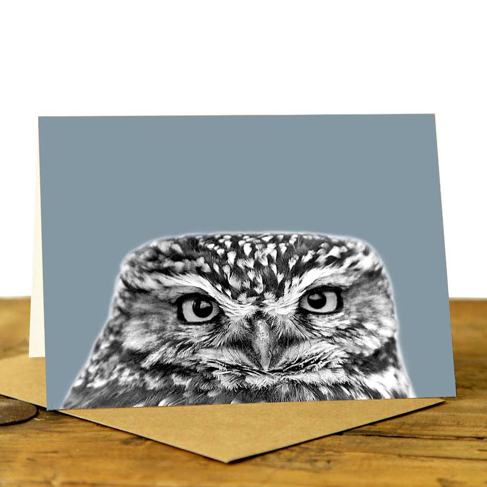 Little Owl Greeting Card - Little Owl Peeking - Pale Blue