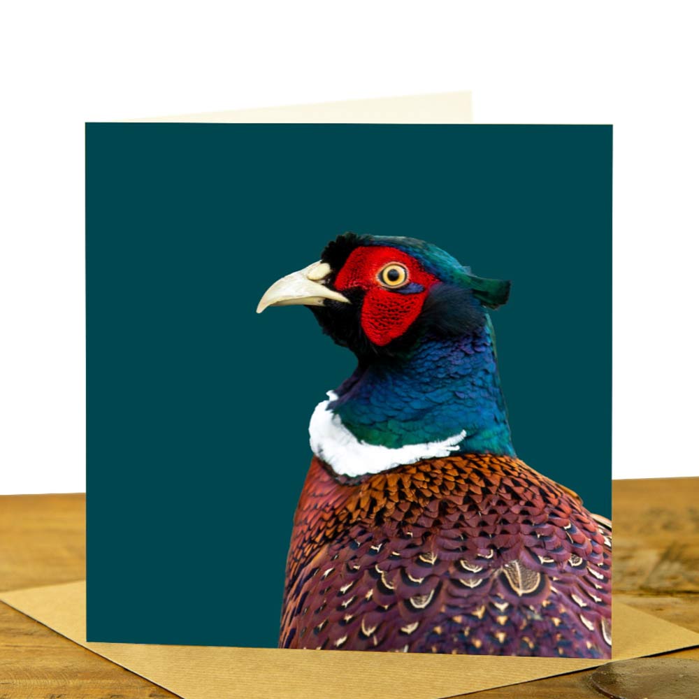 Pheasant Card - Colour Image - Teal Background