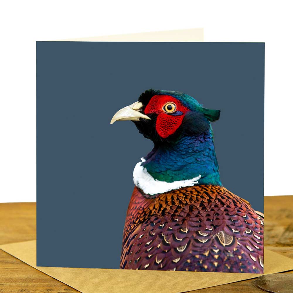 Pheasant Card - Colour Image - Indigo Background