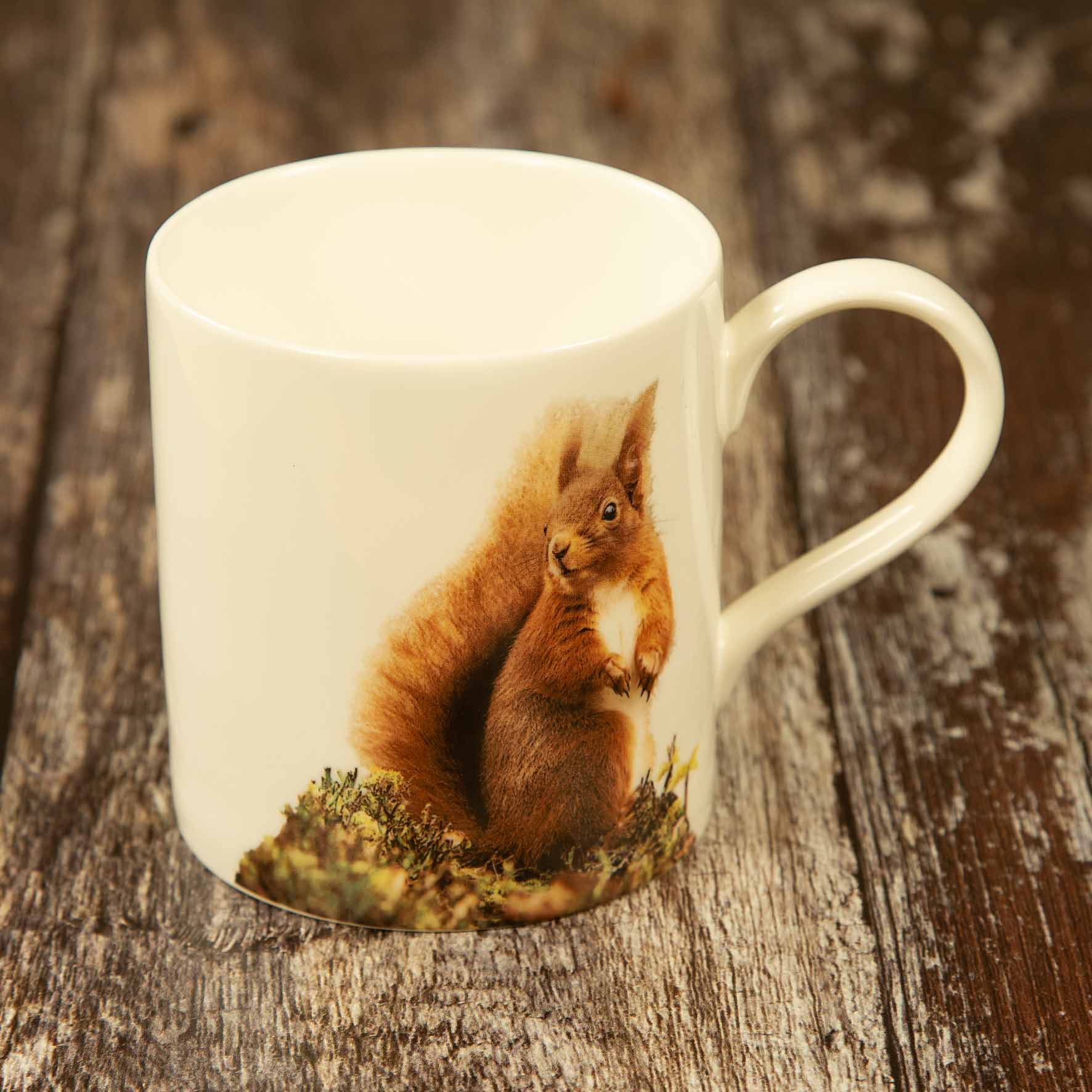 Red Squirrel Fine Bone China Mug - Colour
