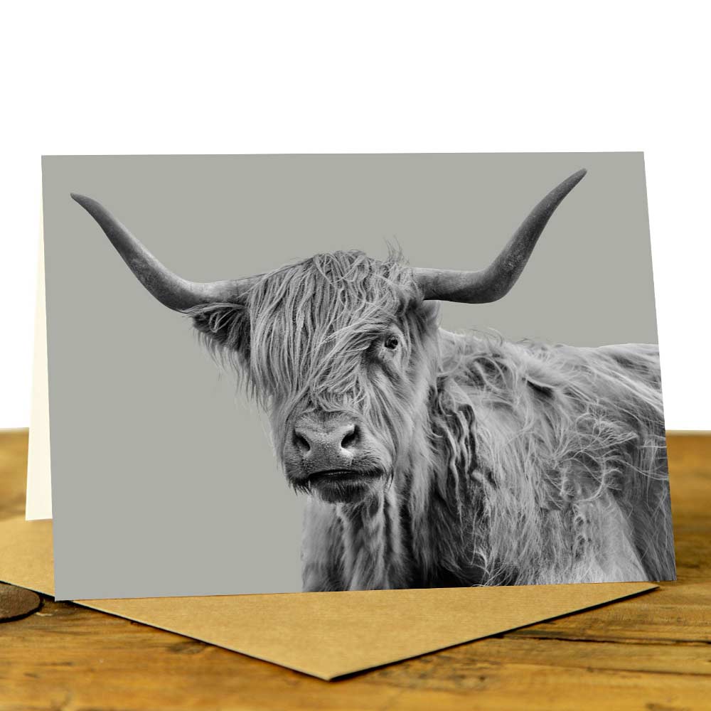 Shaggy Highland Cow Card - Sage Grey
