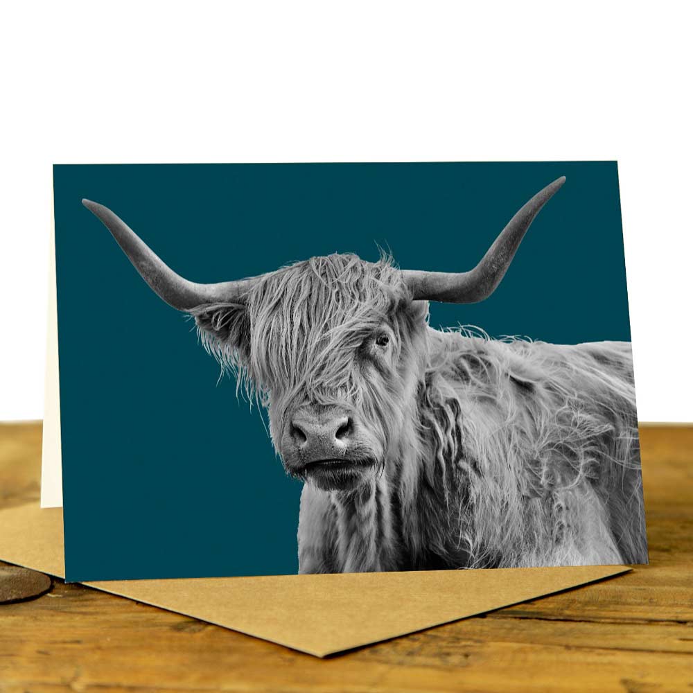 Cow Cards - Shaggy Highland Cow Card