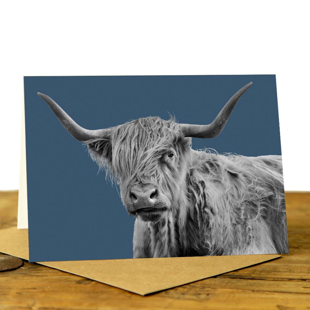 Shaggy Highland Cow Card - Indigo
