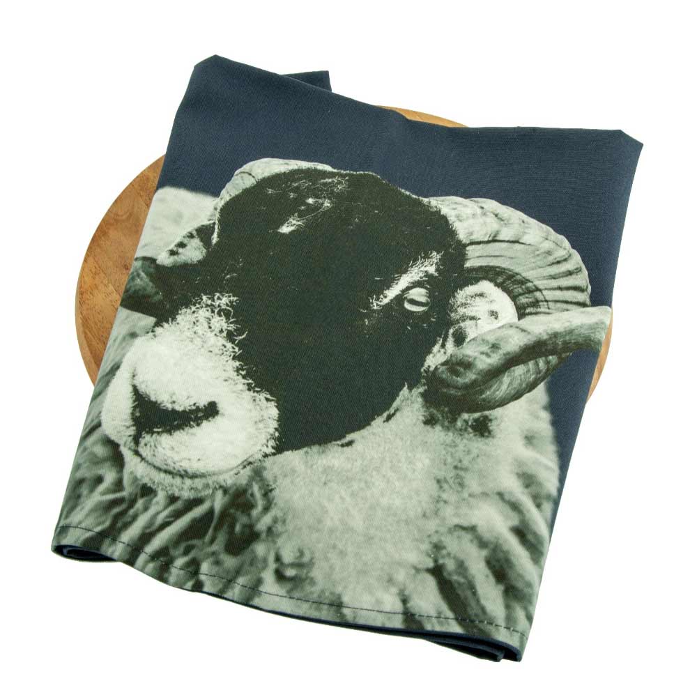 swaledale sheep tea towel - blackberry